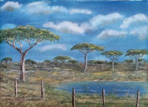 "North of Kimberley ..."
