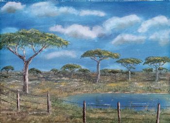 "North of Kimberley ..."