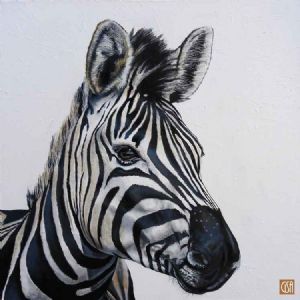 "Zebra Portrait"