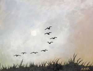 "Pearl Valley Dawn"
