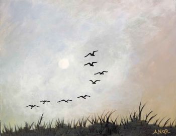 "Pearl Valley Dawn"
