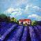 Lavender Fields