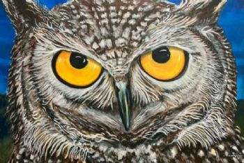 "Owl eyes "