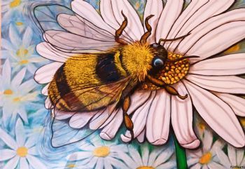 "Bee on Daisy flower"