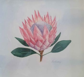 "Protea"