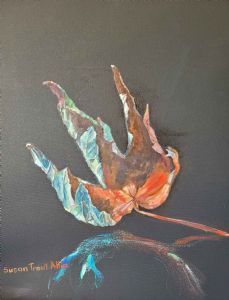 "Maple Leaf"
