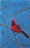 "Red Cardinal"