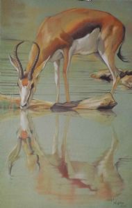 "Calm Reflections"