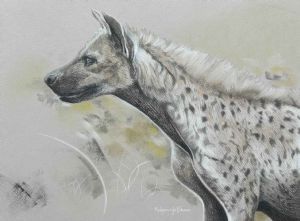 "The Spotted Hyena"