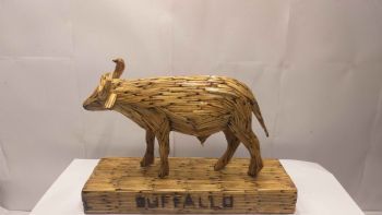 "Matchstick buffalo"