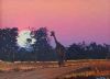 "Wildlife Sunset Bushveld"