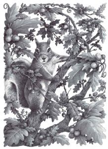 "Squirrel in Oak Tree"