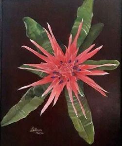 "Bromeliad"