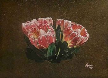 "Proteas"