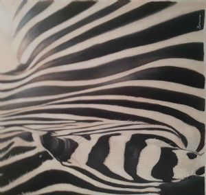 "Zebra Collection No 3"