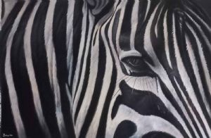 "Zebra Collection No 4"