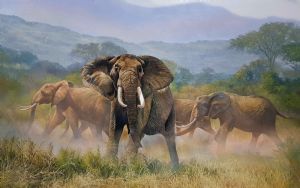"The Matriarch - Dida's Daughter "