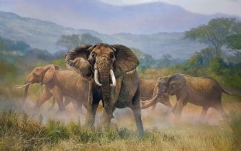"The Matriarch - Dida's Daughter "