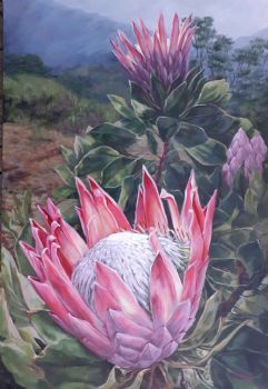 "Protea Landscape "