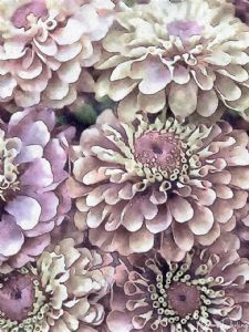 "Dahlia Burst"