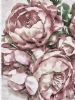 "Roses Blossom"