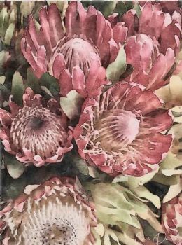 "Protea Bright"