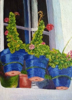 "Geraniums"