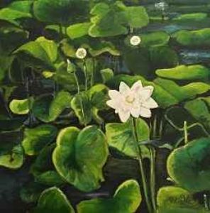 "Lotus Blossoms 1"