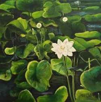 "Lotus Blossoms 1"