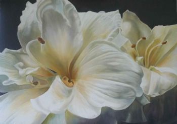 "Amaryllis Pair"