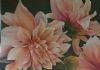 "Delightful Dahlias"