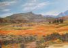"Namaqualand"