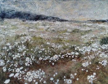 "Namaqualand 2 "