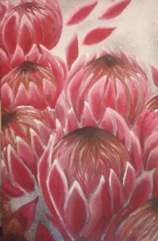 "Proteas"