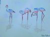 "Flamingos"