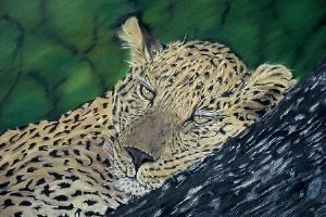 "Born free"