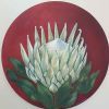 "Pearly White Protea"