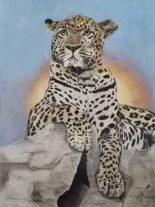 "Leopard on Rock"