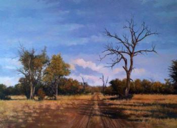 "Red Bushwillow Veld, Klaserie"