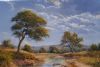 "Mhlambane River Near Malelane"