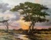 "First Rays"