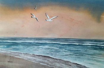 "Sunset Gulls"