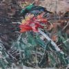 "Sunbird 1"