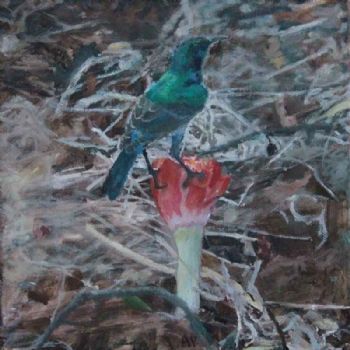 "Sunbird 2"