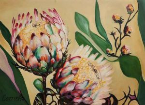 "Protea Pride"