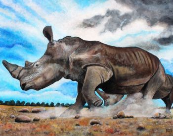 "Rhino Running "