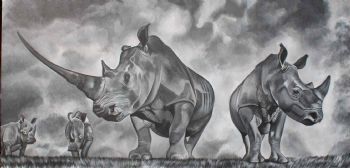 "White Rhinos"