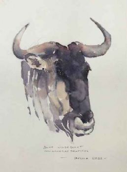 "Black Wildebeest "