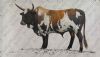 "Nguni Bull"