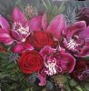 "Velvet Merlot"